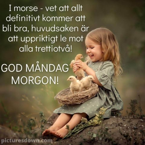 Måndag morgon bild kycklingar ladda ner gratis