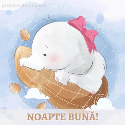 Noapte buna joi imagine elefant descarcă gratis