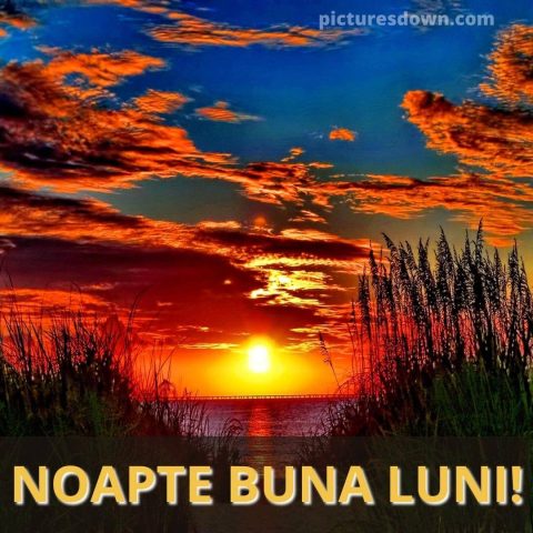 Noapte bună luni imagine apus peste râu descarcă gratis