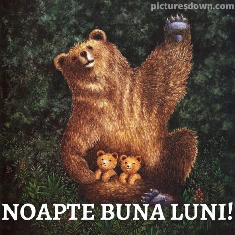 Noapte bună luni imagine urs descarcă gratis