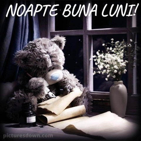Noapte bună luni imagine poartă lângă fereastră descarcă gratis