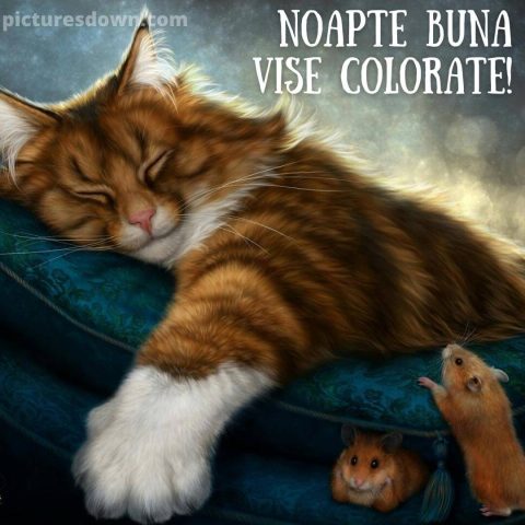 Noapte buna marti imagine pisica si soarecii descarcă gratis