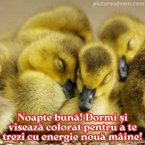 Noapte buna miercuri imagine rătuci descarcă gratis