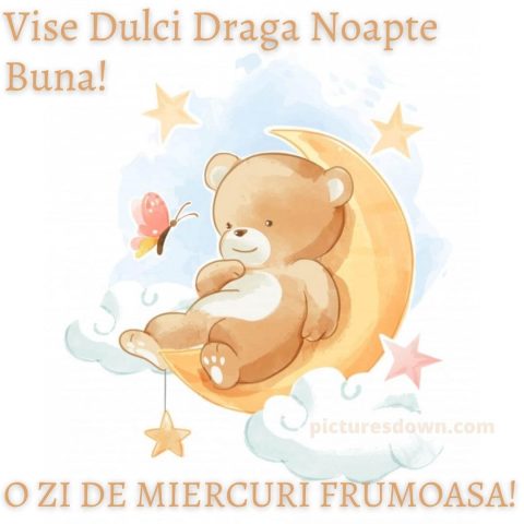 Noapte buna miercuri imagine urs descarcă gratis