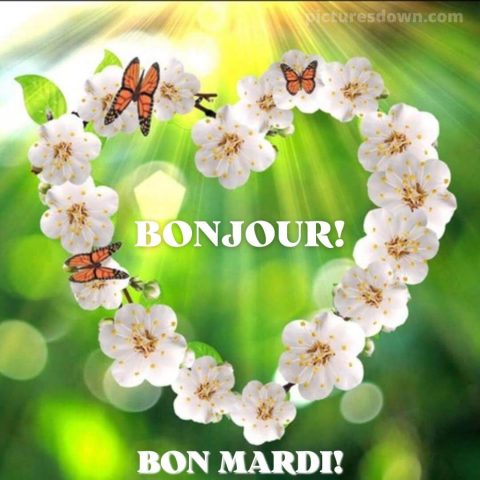 Bon mardi bisous image fleurs gratuite