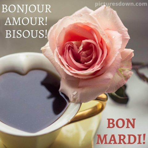 Bon mardi bisous image fleur gratuite