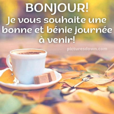 Bonjour café image feuilles gratuite
