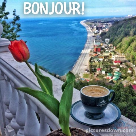 Bonjour café image paysage gratuite