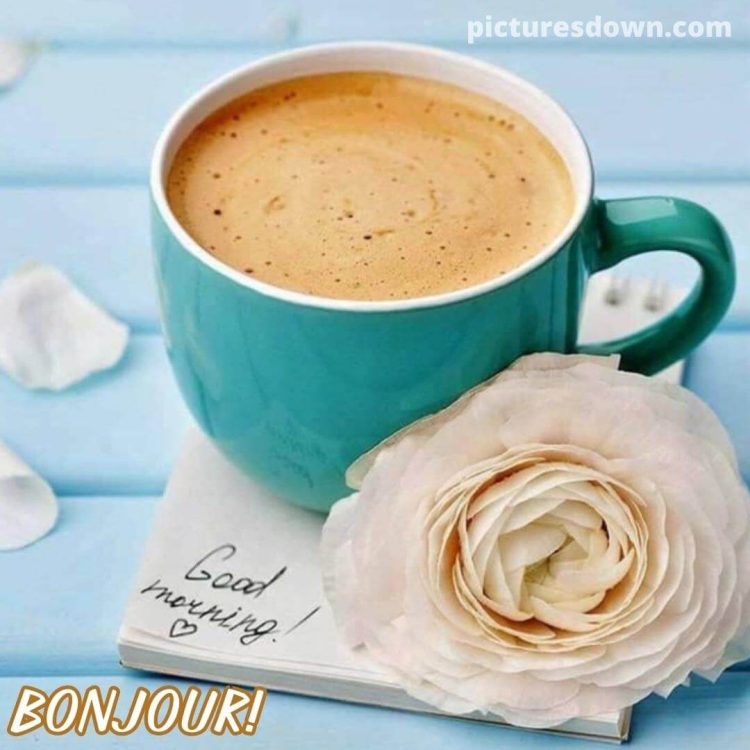 Bonjour café image rose blanche gratuite