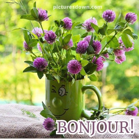Bonjour fleurs image champ gratuite