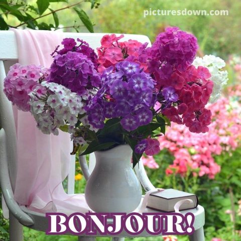 Bonjour fleurs image beau gratuite