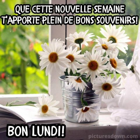 Bonne lundi image fleurs gratuite
