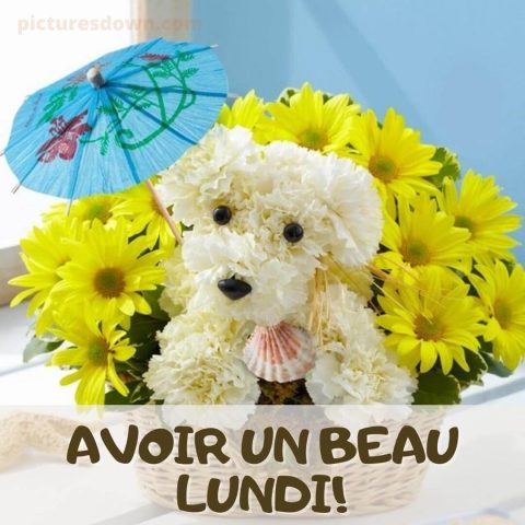 Bonjour lundi image un panier de fleurs gratuite