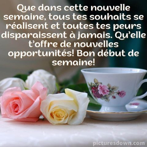 Bonjour lundi image deux roses gratuite
