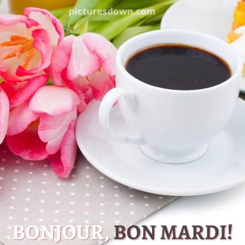 Bon mardi café image tulipes gratuite