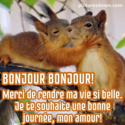 Bonjour mon amour image écureuils gratuite