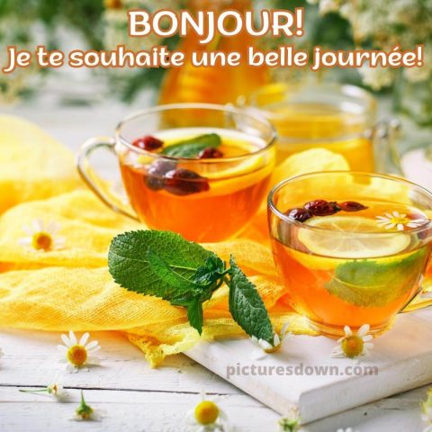 Bonjour thé image aux baies gratuite