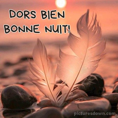 Bonne nuit lundi image plume gratuite