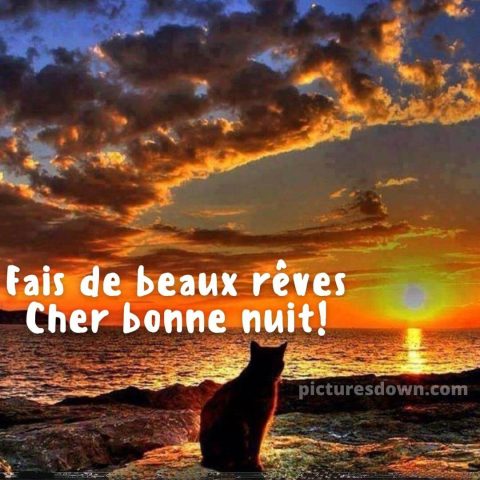 Bonne soirée lundi image mer gratuite