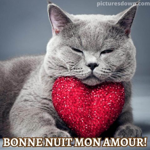 Coeur bonne nuit image taupe grise gratuite