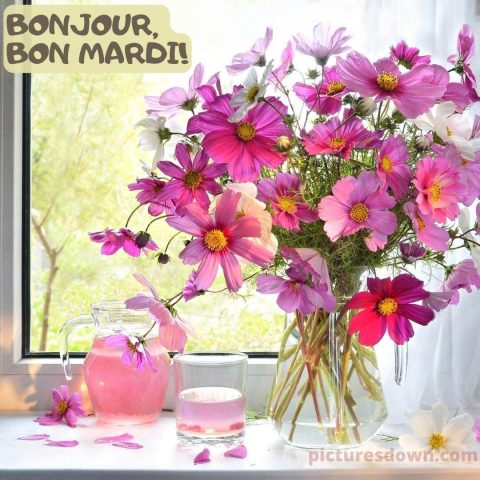 Image bon mardi fleurs dans un vase gratuite