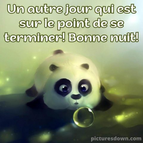 Jolie image bonne nuit Panda gratuite