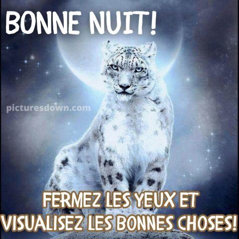 Image de bonne nuit gratuite puma