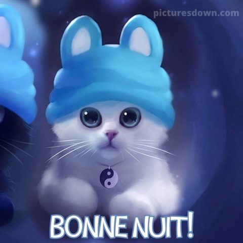 Belle image bonne nuit chat dans un chapeau gratuite