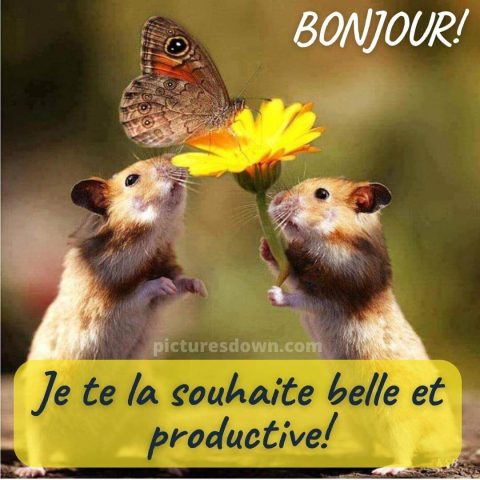 Bonjour bonne journée image souris gratuite