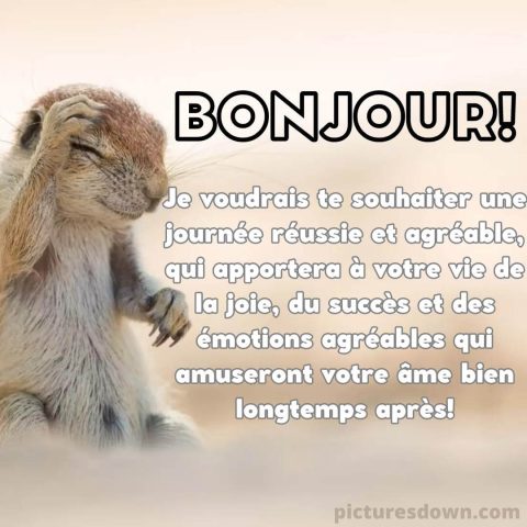Bonjour image rongeur gratuite
