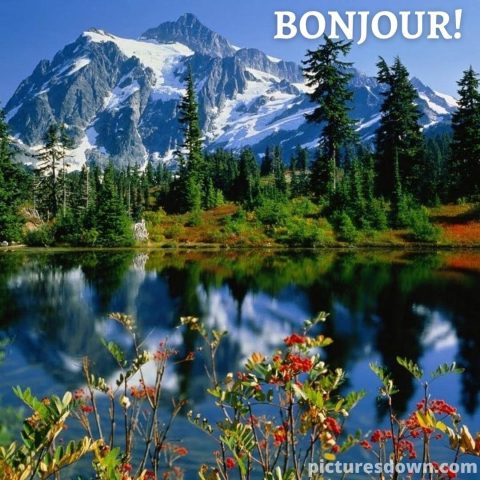 Jolie image bonjour lac gratuite