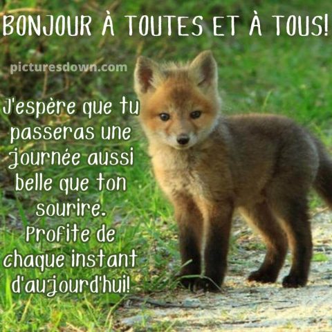 Jolie image bonjour renard gratuite