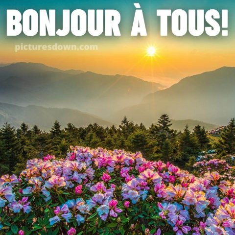 Jolie image bonjour paysage gratuite