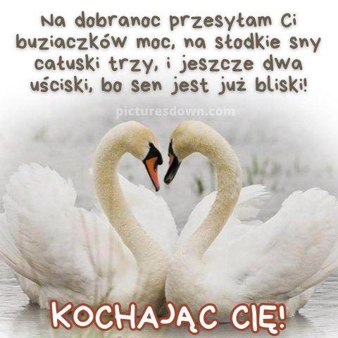 Dobranoc kochanie kartka łabędzie za darmo