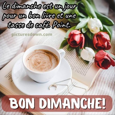 Bon dimanche café image tulipes gratuite