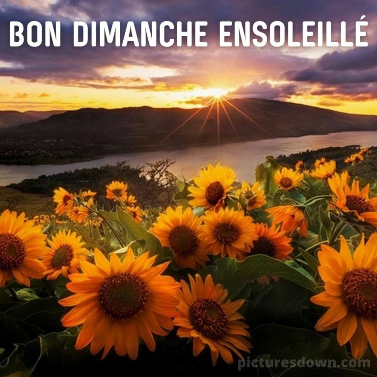Sitemapcdatahttpsshopinf Inetcomimages Bon Dimanche Gratuites
