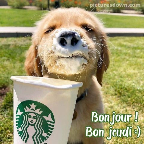 Bonjour bon jeudi image chien et café gratuite