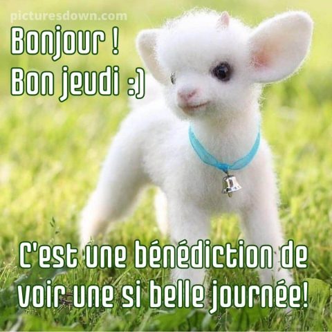 Bonjour bon jeudi image enfant gratuite