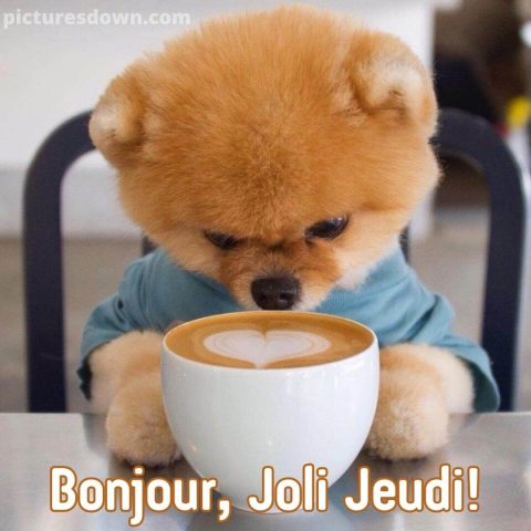 Bonjour bon jeudi image chien bouclé gratuite
