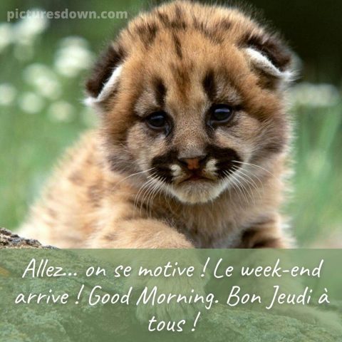 Bonne journée de jeudi image puma gratuite
