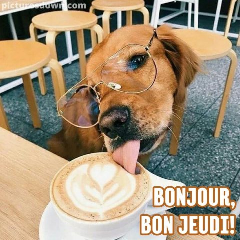 Bon jeudi humour image chien et café gratuite