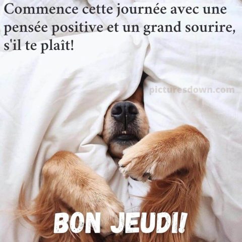 Bon jeudi humour image chien gratuite