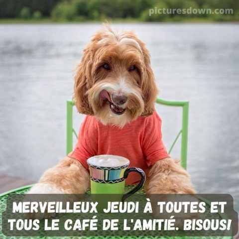 Bon jeudi humour image café et chien gratuite
