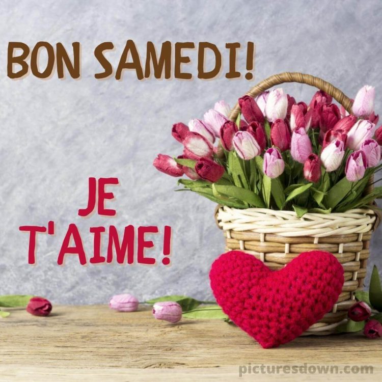 Bonjour samedi mon amour image tulipes gratuite