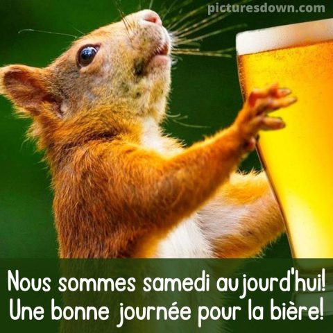 Bon samedi humour image écureuil avec de la bière gratuite