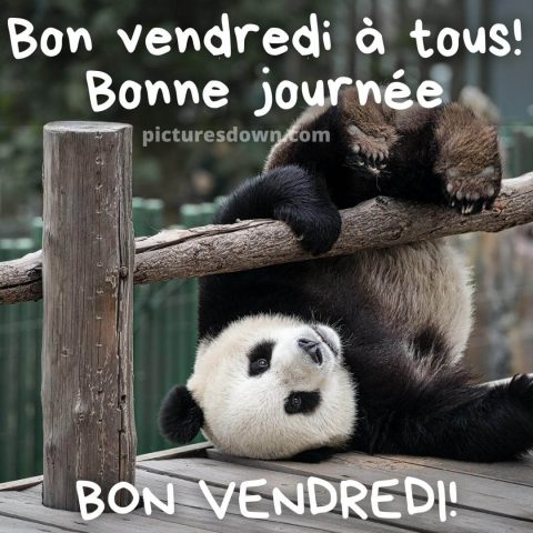 Bon vendredi humour image Panda gratuite