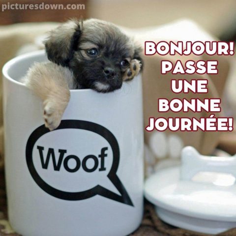 Bon samedi café image petit chien gratuite
