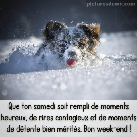 Belle image bon samedi neige gratuite