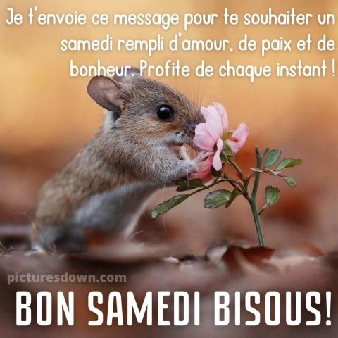 Bonjour samedi image souris gratuite