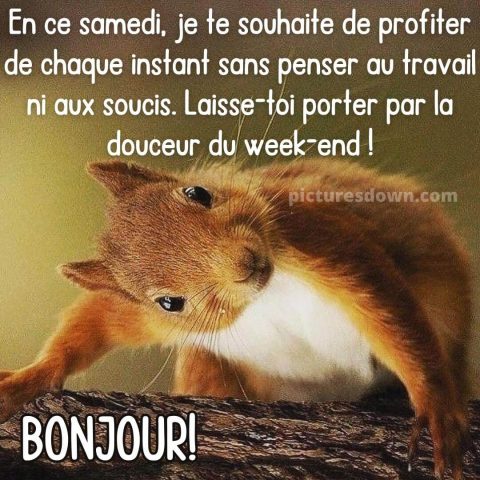 Belle image bon samedi écureuil gratuite